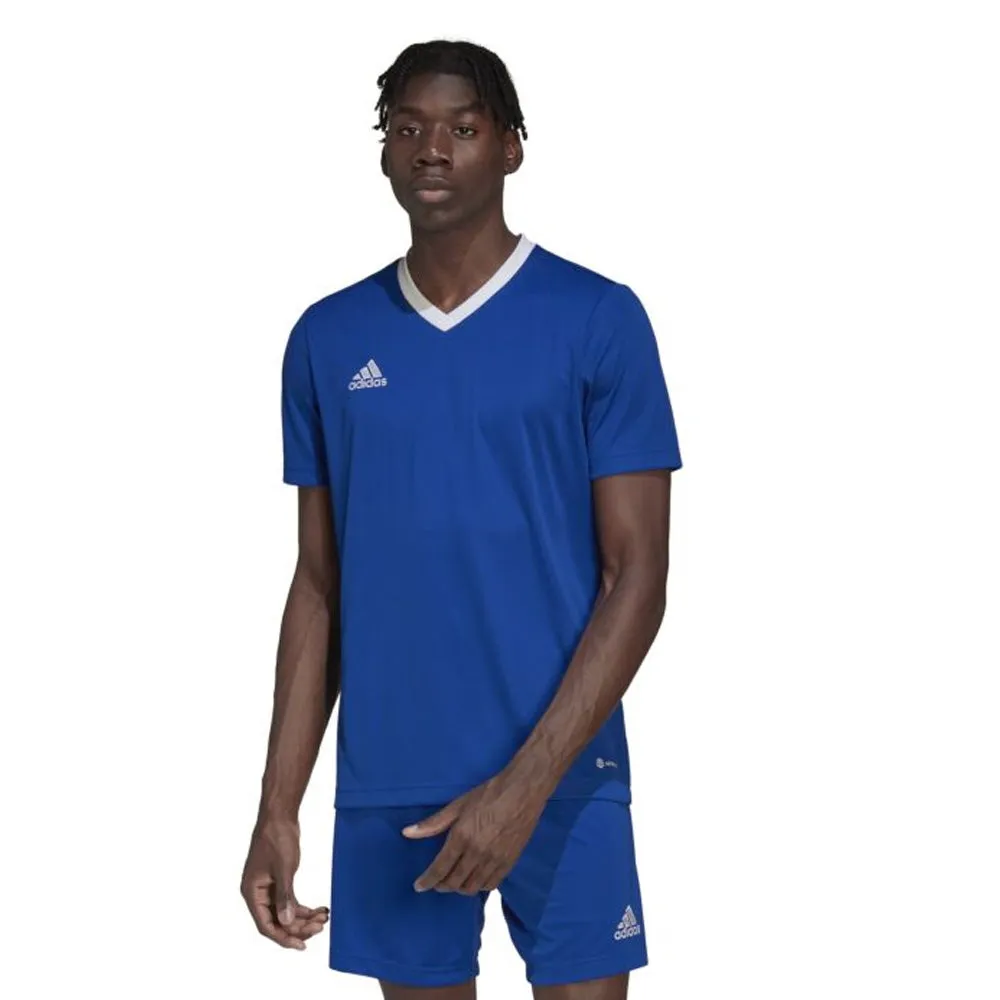 Adidas Youth Entrada 22 Jersey (Royal/White)