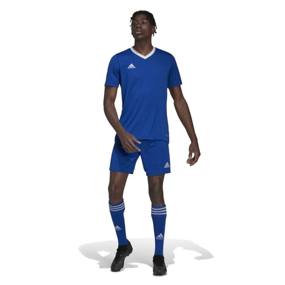 Adidas Youth Entrada 22 Jersey (Royal/White)