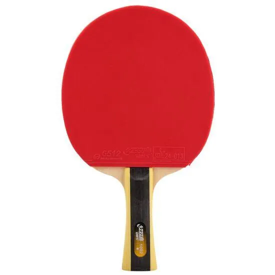 DHS T1002 Shakehand (FL) Racket Set