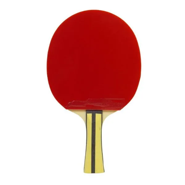 DHS -  Table Tennis Racket 4 stars Long Handle, In (Two Sides) (4006)