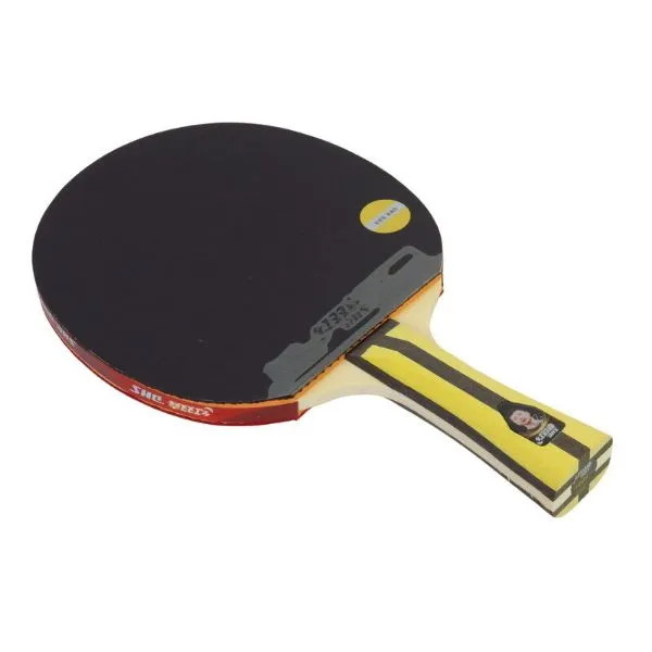 DHS -  Table Tennis Racket 4 stars Long Handle, In (Two Sides) (4006)